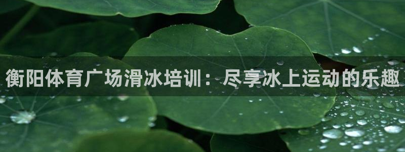 耀世娱乐百科：衡阳体育广场滑冰培训：尽享冰上运动的乐