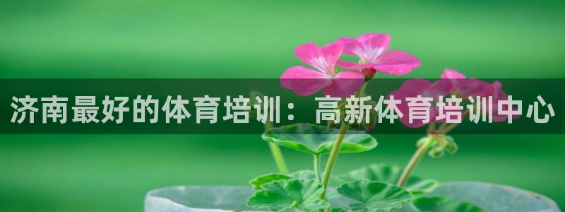 耀世游戏：济南最好的体育培训：高新体育培训中心