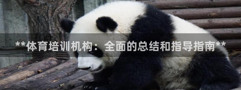 耀世平台注册登录不上怎么办：**体育培训机构：全面的总结和指