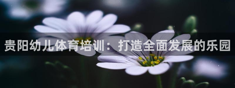 耀世娱乐官方网站入口：贵阳幼儿体育培训：打造全面发展