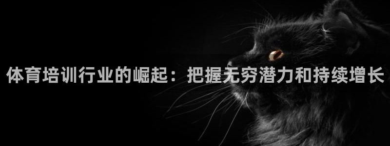 耀世雷霆官方版：体育培训行业的崛起：把握无穷潜力和持