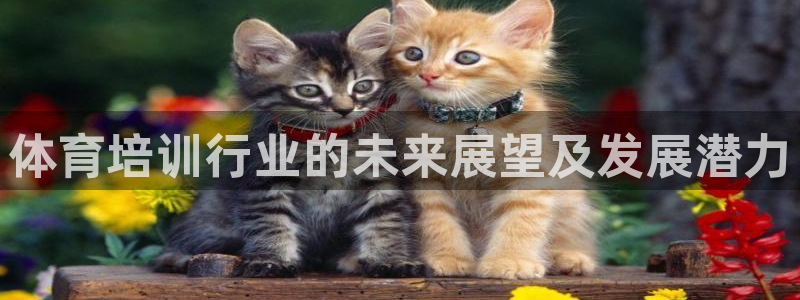 耀世娱乐登录地址在哪查：体育培训行业的未来展望及发展潜力