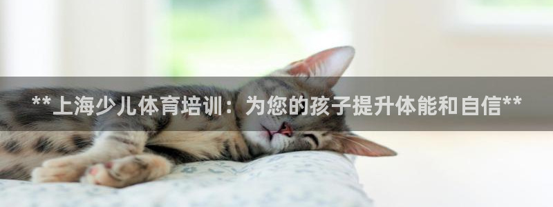 耀世平台代理注册登录不了：**上海少儿体育培训：为您