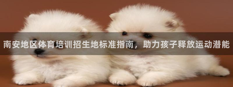 耀世国际平台正规吗安全吗：南安地区体育培训招生地标准指南，助