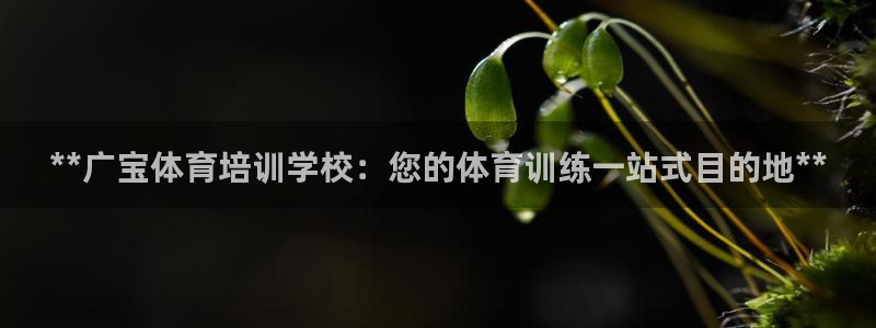 耀世来袭：**广宝体育培训学校：您的体育训练一站式目