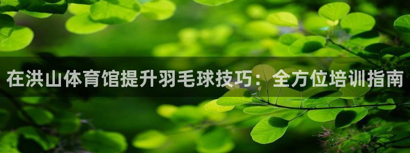 耀世平台木 5o69I7：在洪山体育馆提升羽毛球技巧