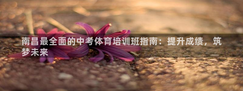 耀世平台马 5O6917 耀世