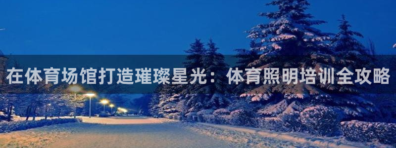 耀世娱乐合法吗：在体育场馆打造璀璨星光：体育照明培训全攻略