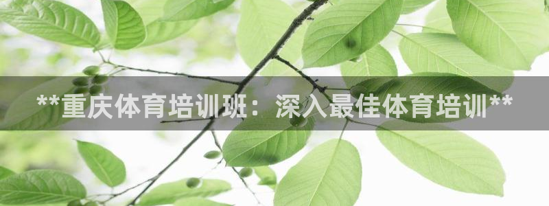 耀世娱乐如何登录账号和密码：**重庆体育培训班：深入