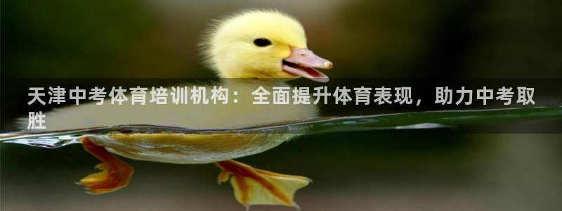 耀世集团董事长儿子：天津中考体育培训机构：全面提升体