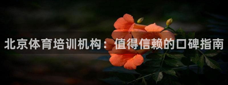 耀世娱乐百科最新：北京体育培训机构：值得信赖的口碑指