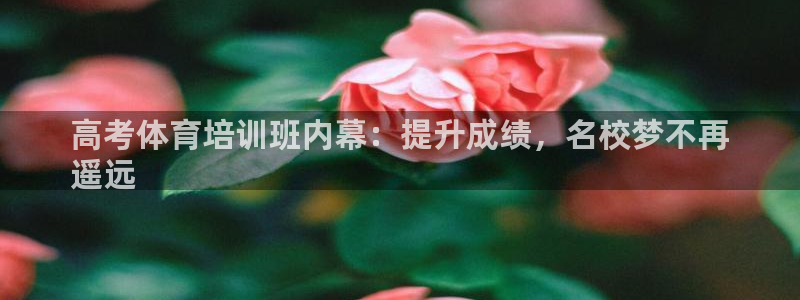 耀世平台代理注册登录不了：高考体育培训班内幕：提升成