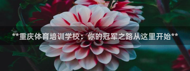 耀世平台拿什么输入账号密码呢：**重庆体育培训学校：