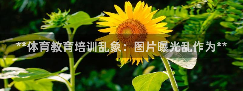 耀世平台注册流程图片：**体育教育培训乱象：图片曝光