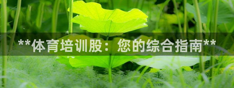 耀世娱乐能不能提现到支付宝：**体育培训股：您的综合