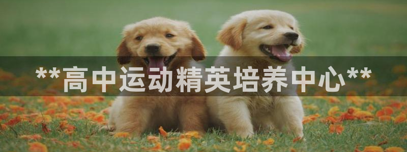 耀世娱乐百科：**高中运动精英培养中心**