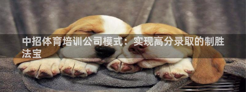 耀世平台注册登录：中招体育培训公司模式：实现高分录取