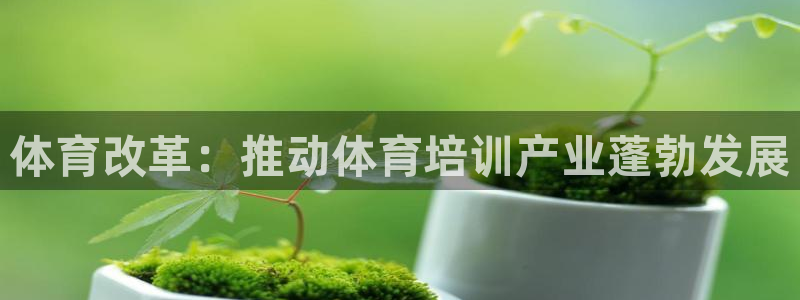 耀世集团商业联盟：体育改革：推动体育培训产业蓬勃发展