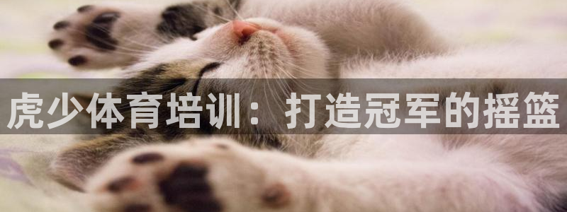 耀世娱乐辅助软件下载官网：虎少体育培训：打造冠军的摇