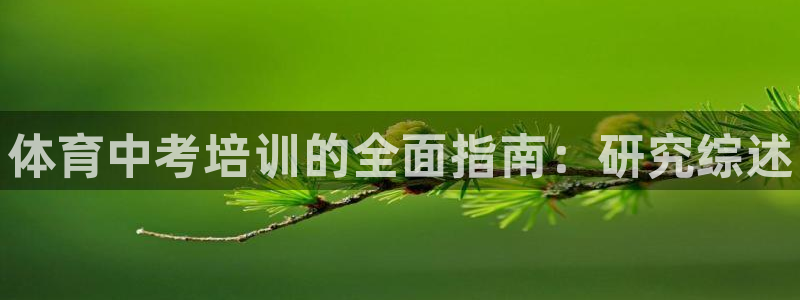 耀世平台人才：体育中考培训的全面指南：研究综述