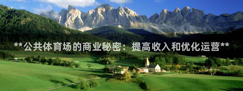 耀世娱乐登录注册不了：**公共体育场的商业秘密：提高收入和优