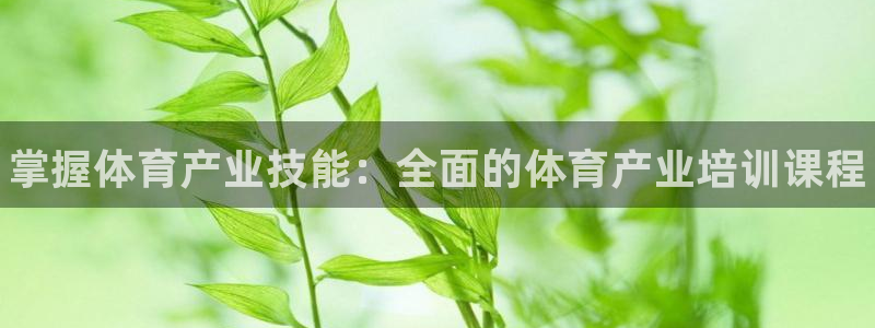 耀世娱乐脚本下载官网：掌握体育产业技能：全面的体育产业培训课