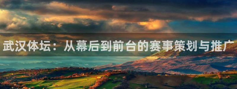 耀世是什么游戏里的人物：武汉体坛：从幕后到前台的赛事策划与推