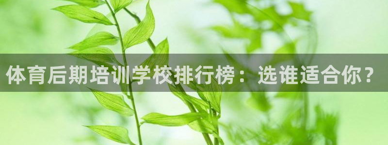 耀世的意思：体育后期培训学校排行榜：选谁适合你？
